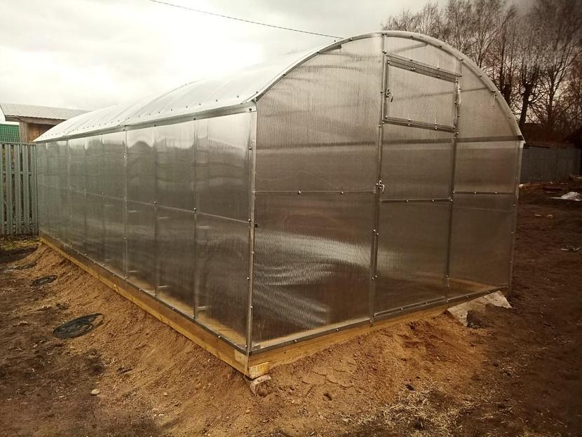 Прямостенная теплица «Богатырь» ОПТ фото 4