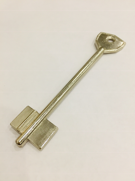 Заготовка ключа АОСАМ 4 фото 1