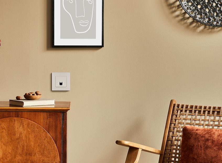 ETIKA Роз. RJ45 кат. 5 UTP, сл. кость Legrand 672341 фото 2