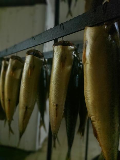 Скумбрия х/к фото 1