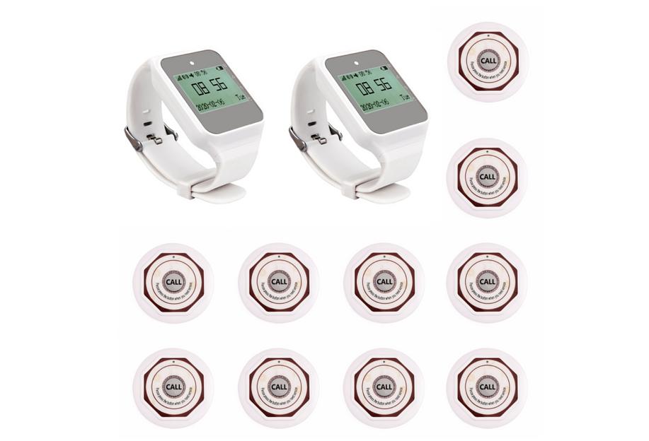 Система вызова из 2-х часов и 10-ти кнопок SWB27-2 ОПТ фото 1