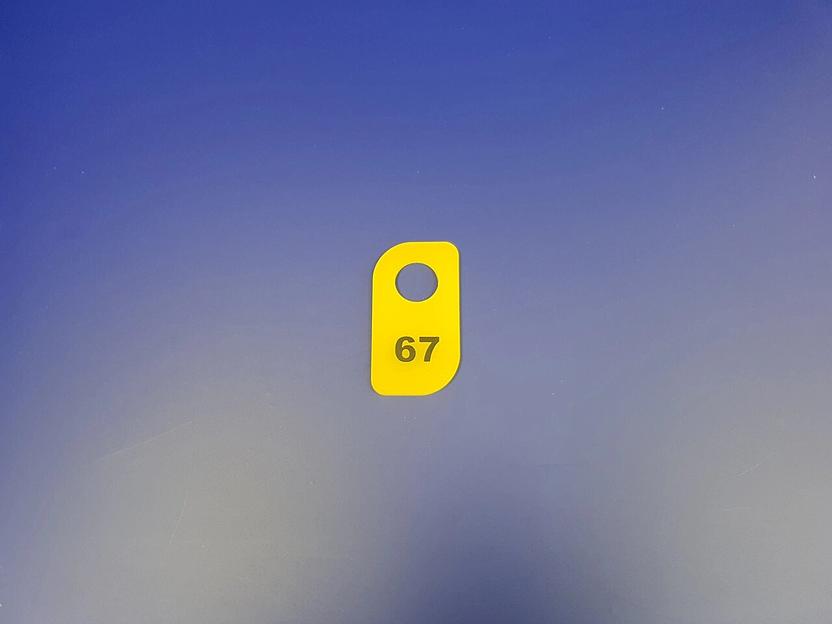 Номерки гардеробные , нанесение- пленка. фото 6