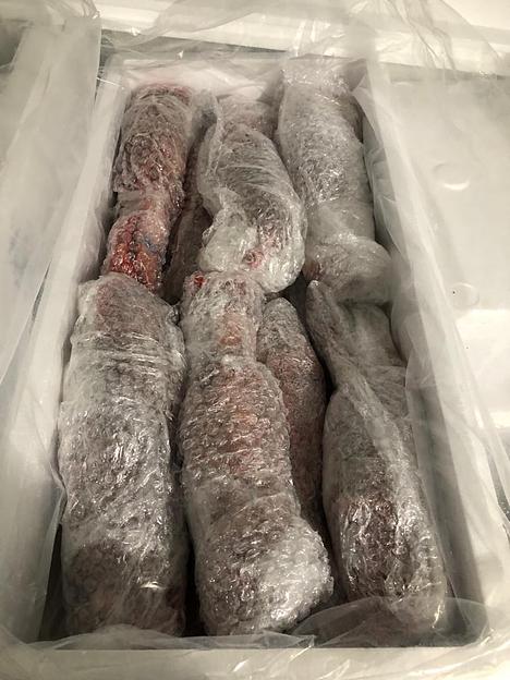 Лобстер канадский (омар) замороженный фото 3