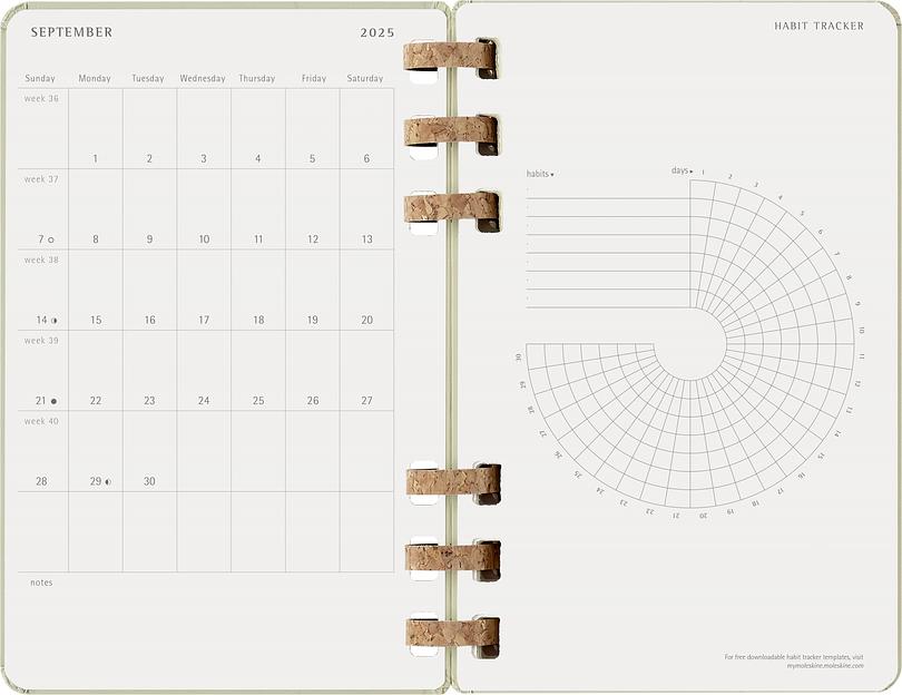 Еженедельник Moleskine ACADEMIC SPIRAL DHSPK5212AMWH3 Large 150х210мм 200стр. кремовые страницы спираль киви фото 9