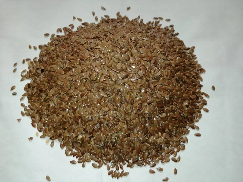 Семена льна фото 1