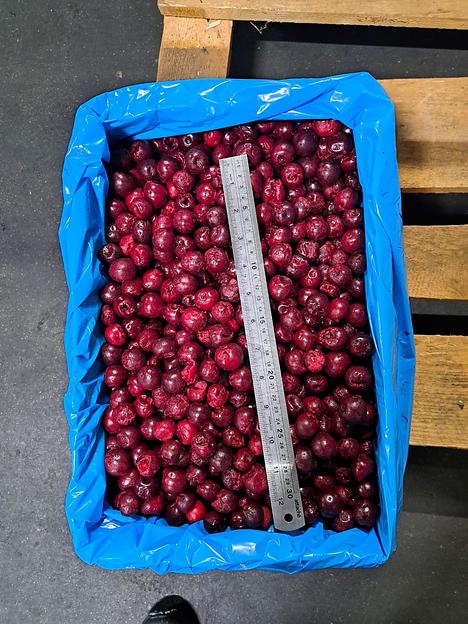 Вишня класс А - собственный импорт Сербия, Китай, 10 кг Опт фото 1