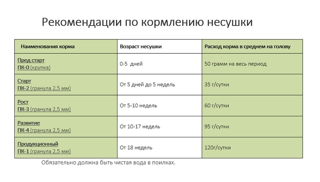 Комбикорм гранулированный полнорационный для кур-несушек ПК-4 фото 2