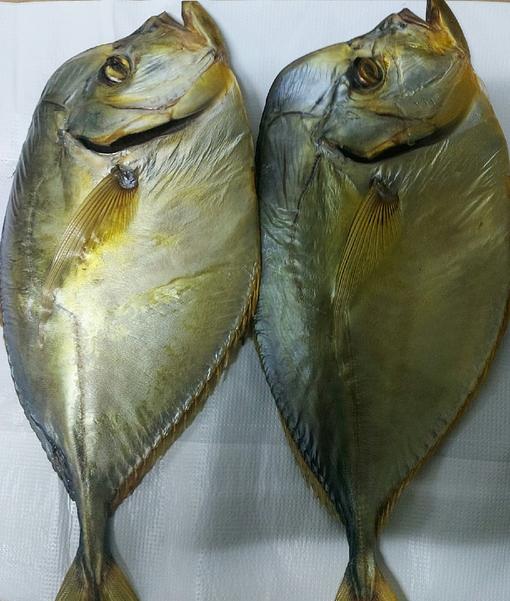 Вомер х/к фото 1