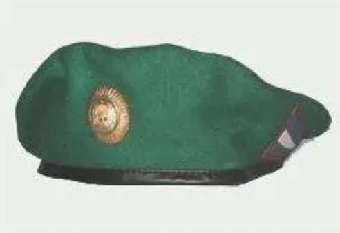 Берет военный ОПТ фото 5