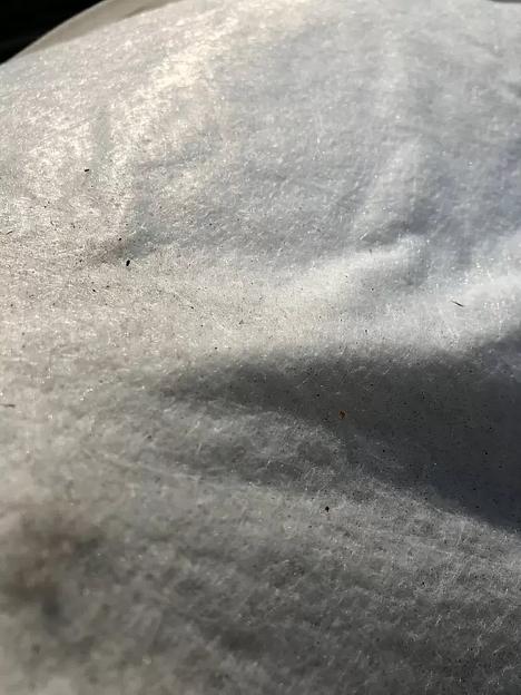 Геотекстиль Лавсан Гео 200, опт фото 4