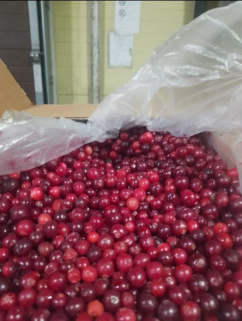 Клюква дикая замороженная электронной очистки Россия опт фото 3
