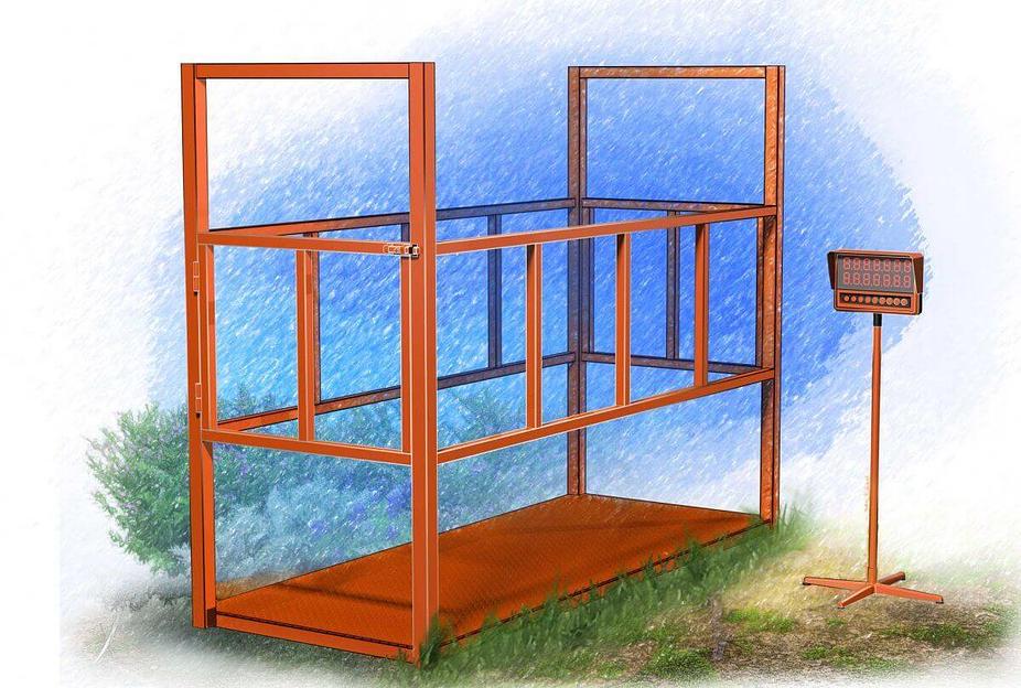 Напольные весы для животных фото 2