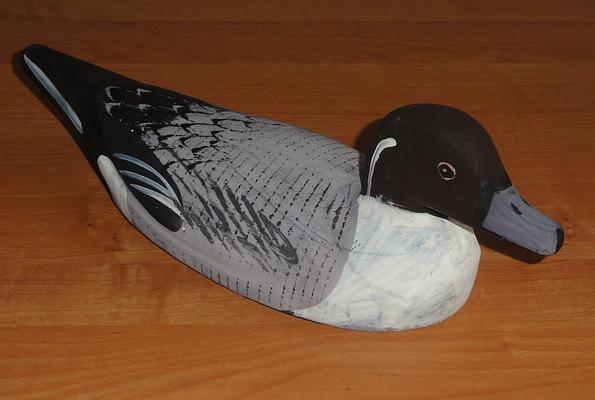 Чучело утки «Шилохвость» (самец) фото 1