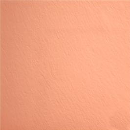 Фасадные панели на основе асбестоцементных листов окрашенные АЦЛО ШЕЛК фото 1