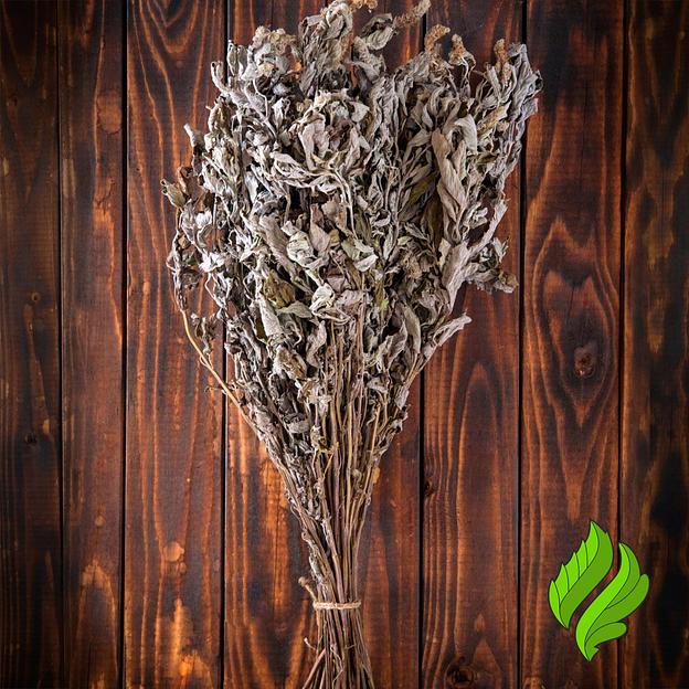 Сбор трав «Мята» для бани опт фото 1