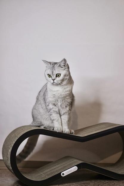 Когтеточка из картона Свитч, черный, опт  фото 3