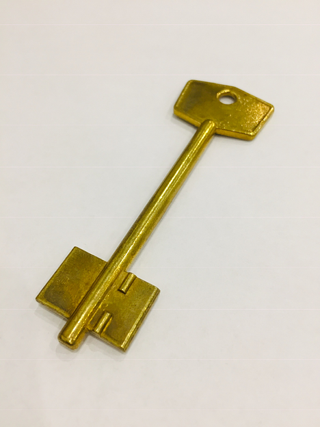 Заготовка ключа ГЕРИОН-1 фото 1