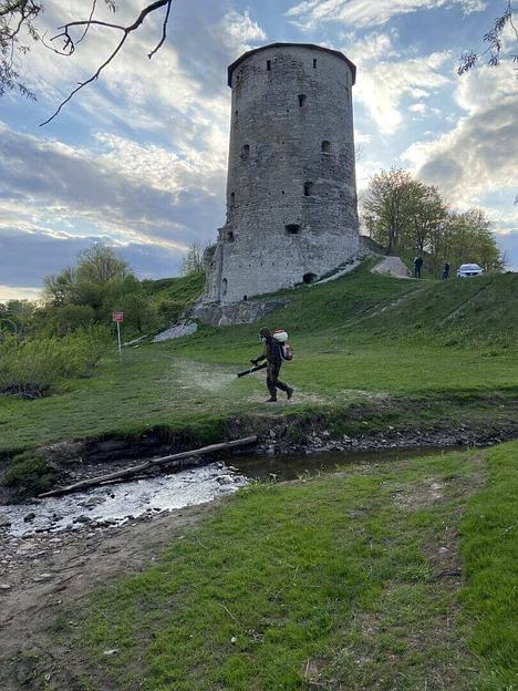 Услуга по дератизации в Твери и Тверской области фото 8