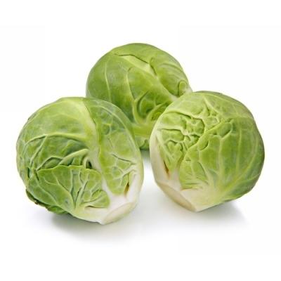 Свежие овощи «Капуста Брюсельская», опт фото 1