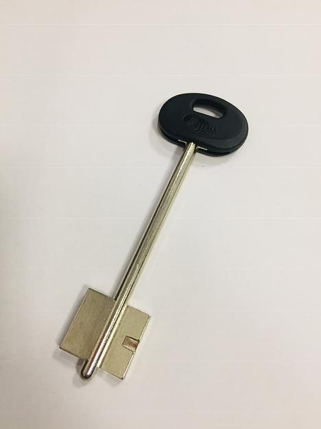 Заготовка ключа Меттем-06 (60мм) фото 1