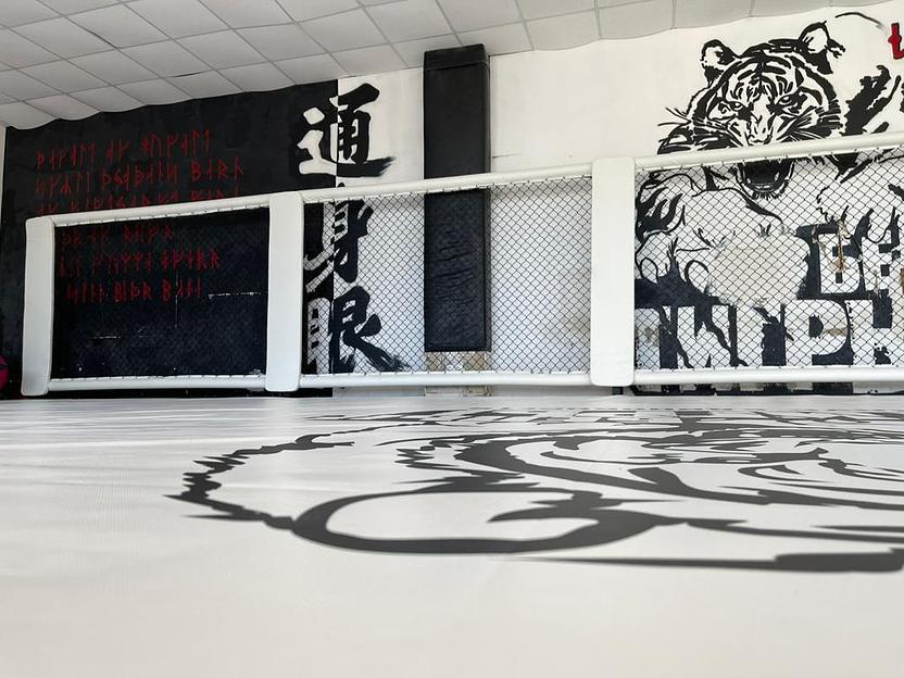 Борцовский ковер Great Fight одноцветный 4 см, опт фото 1