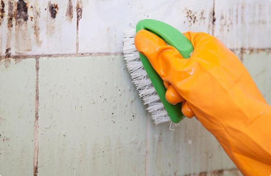 Услуга по удалению плесени и грибка в ванной фото 1