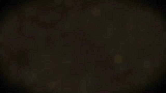 Куттер ДВАК К-250 открытый фото 9