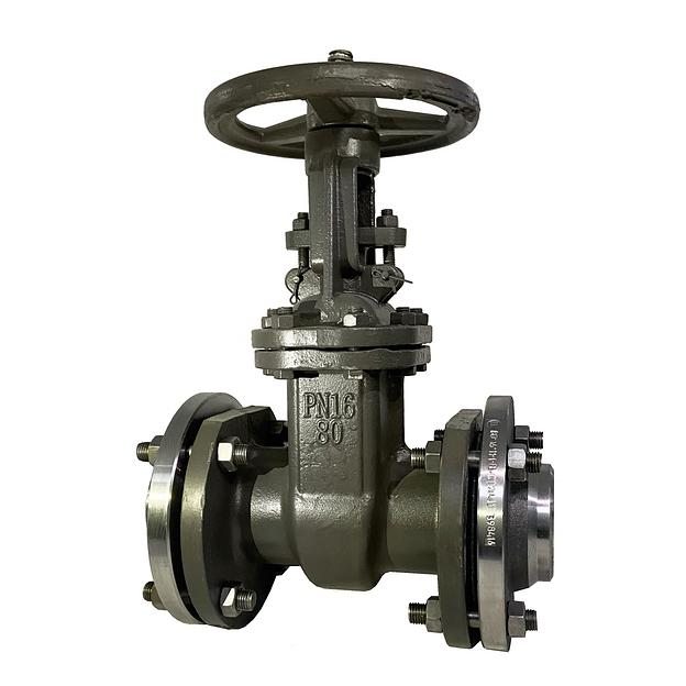 Задвижки стальные литые клиновые 30с41нж Ду 40 фото 1