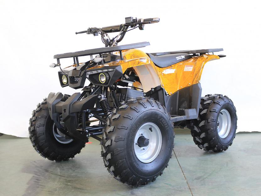 Квадроцикл GreenCamel Атакама T240 золотая осень (48V 1000W R8 Дифференциал) пониженная фото 1