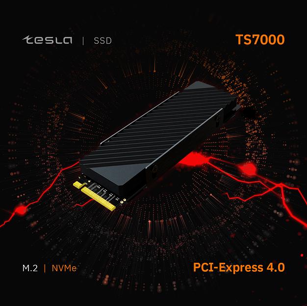 SSD TESLA TS7000 2Тб, M.2 2280, NVMe, Bulk, TLC, PCIe4.0, DRAM:2048Мб, Чтение:7000мб/с, Запись:6700мб/с, радиатор, совместимость с PS5 (SSDTS7000H-2TBM2) фото 3
