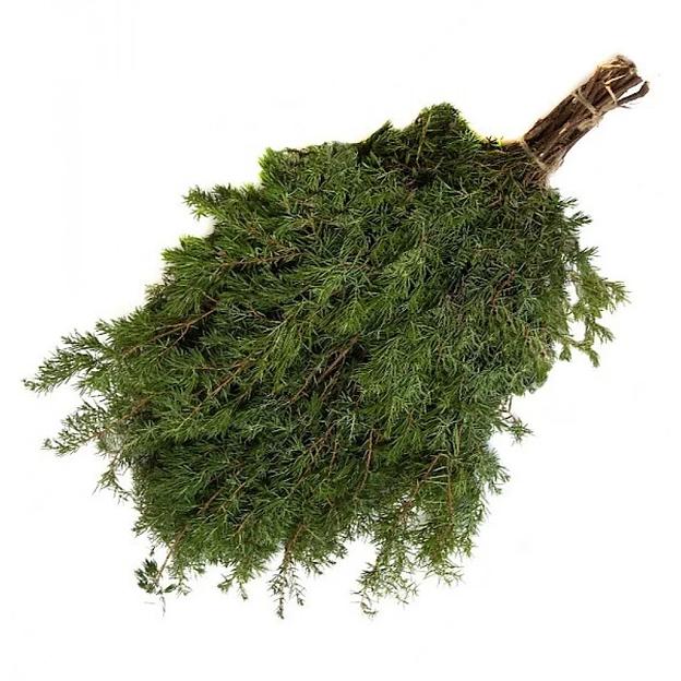 Банный веник (Можжевельник) фото 1