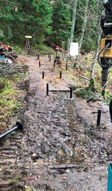 Монтаж винтовых свай под ключ Ленинградская область фото 4