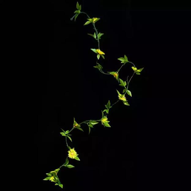 Лиана с 10 ромашками 9350-9274 фото 2