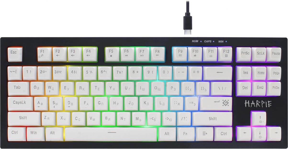 Клавиатура DEFENDER (45401) Harpie GK-401 RU,чер/бел,87кн+FN,радуж,1.5м фото 1