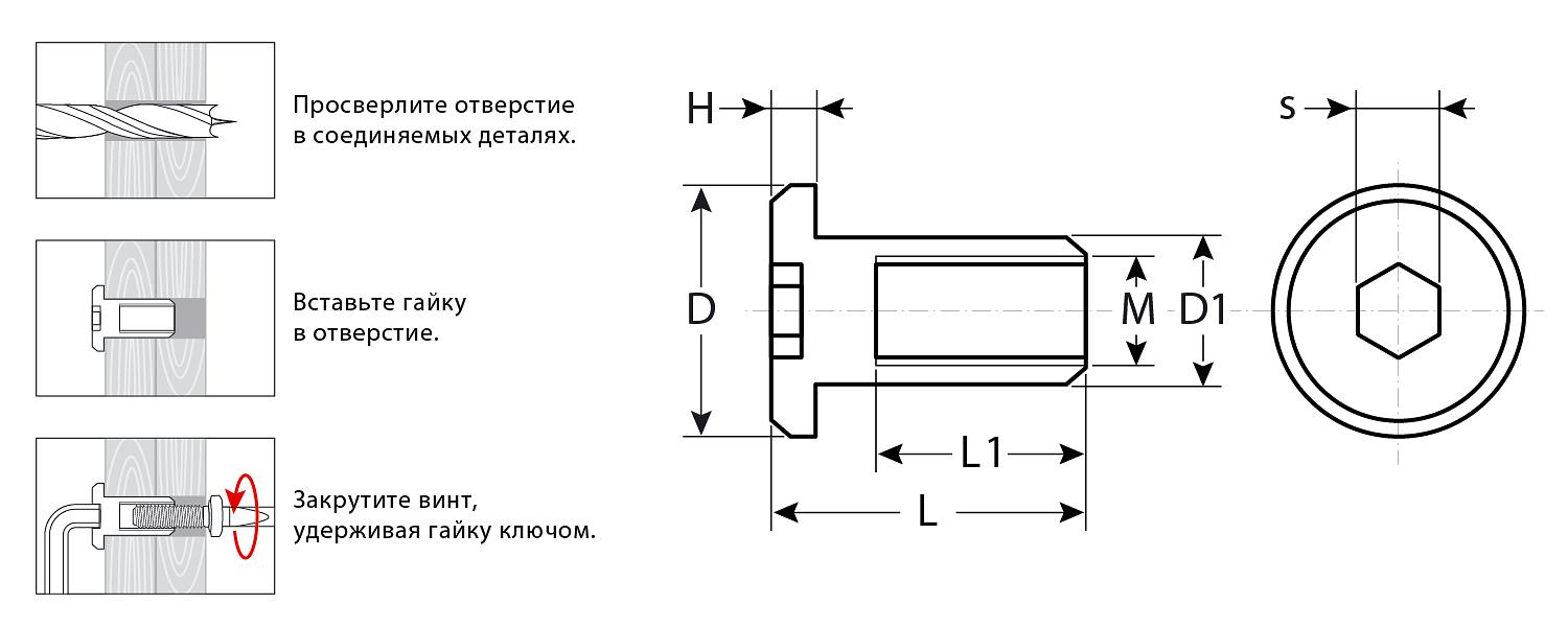 ЗУБР M6 x 12 мм, шест. 4 мм, цинк, 5 кг, гайка Эриксона с плоской головкой, Профессионал (303770-4) фото 2