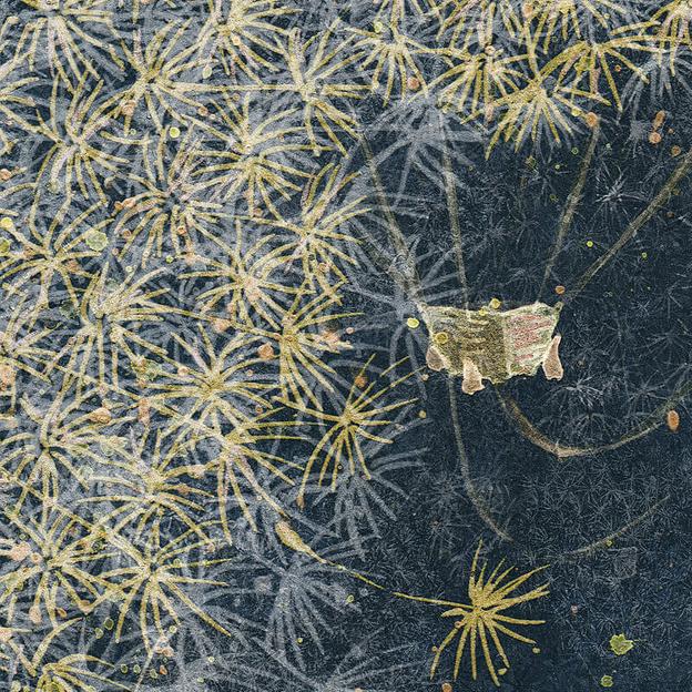 Обои exupery опт фото 6