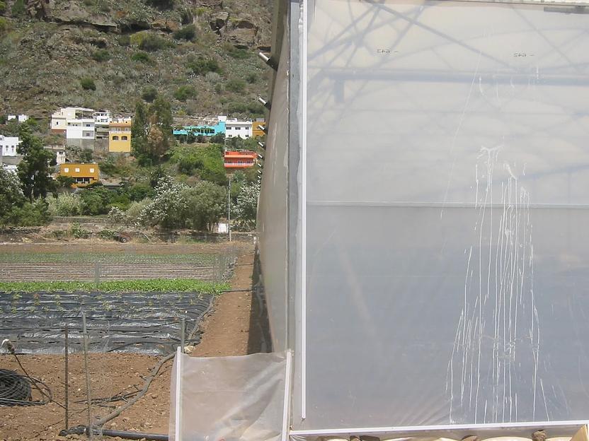 Установка теплиц фото 2