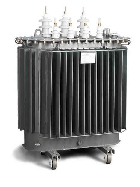 ТМГ 33-250 кВа фото 1