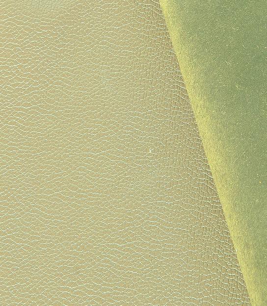 Кожа Натуральная. Артикул Наппа комфорт "Спаржа" каскад фото 1