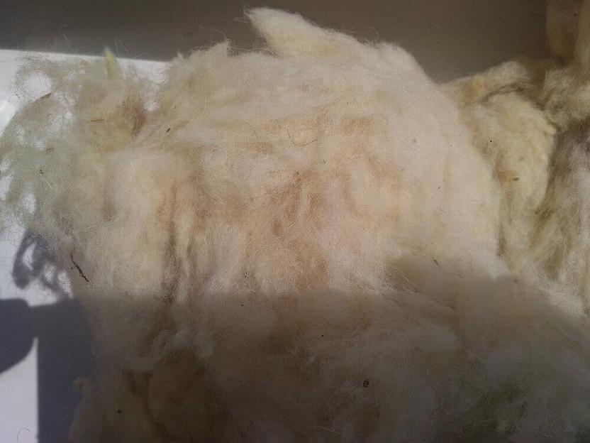 Очес шерстяной полугрубый суровый, опт фото 1