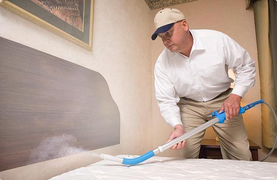 Услуга по дезинфекции помещения от клопов фото 1