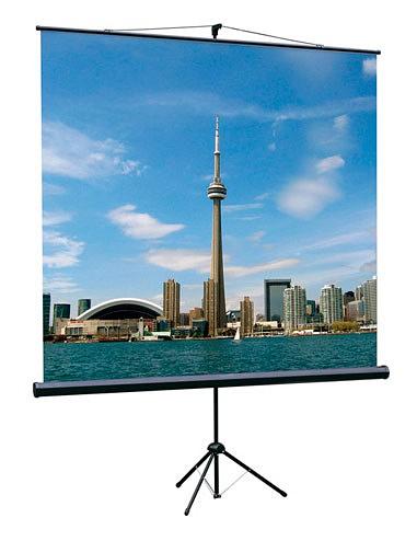 Экран на треноге Lumien 180x180см Eco View LEV-100102 1:1 напольный рулонный фото 1