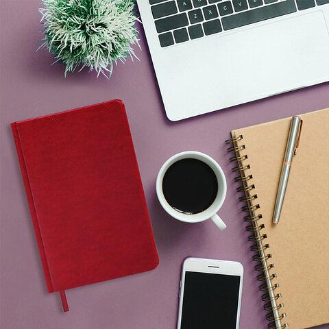 Ежедневник недатированный А5 138×213 мм Brauberg «Iguana» под кожу, 160 л, бордовый, 125092 опт фото 2