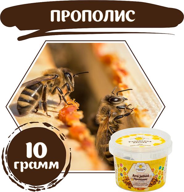 Прополис 10 г ОПТ фото 1
