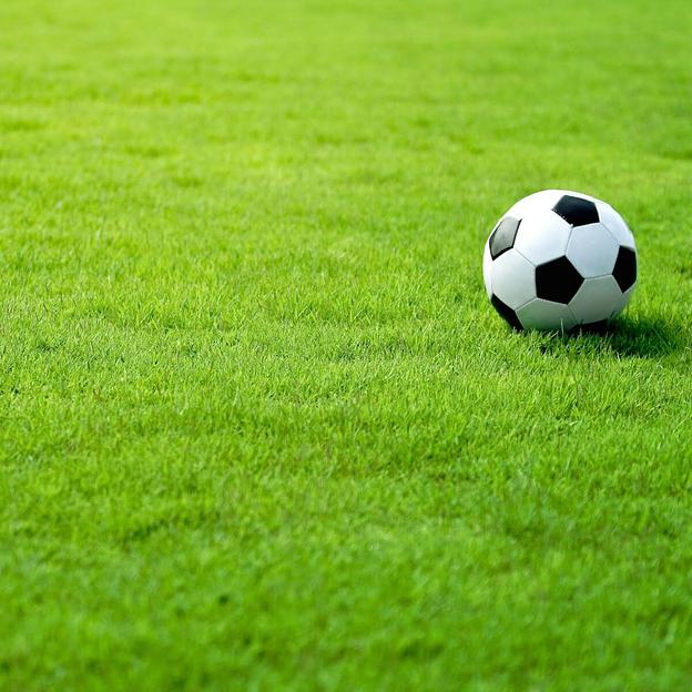 Семена газон спортивный фото 1