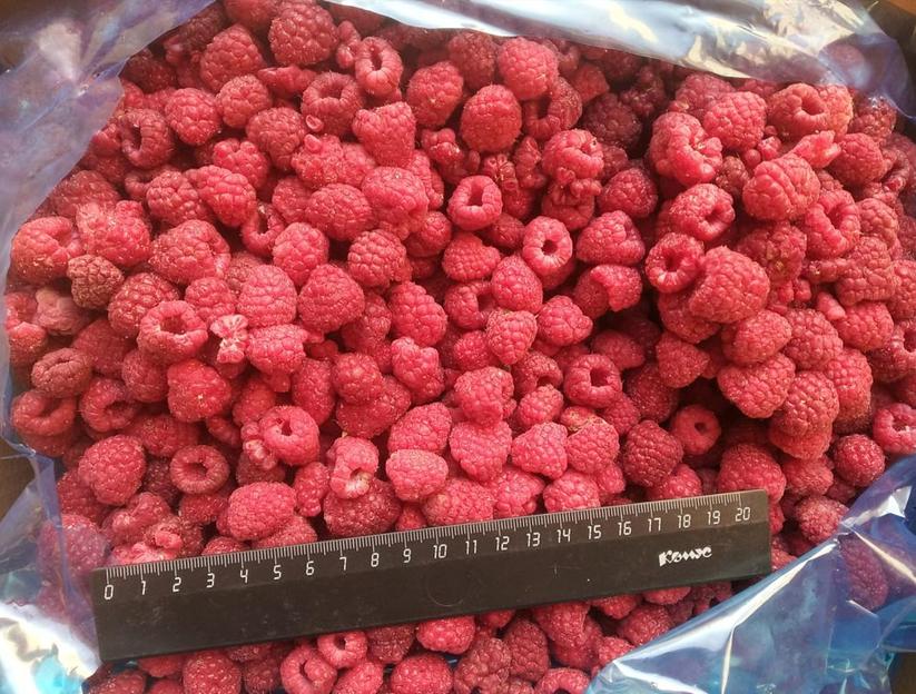 Малина класс экстра замороженная опт фото 2