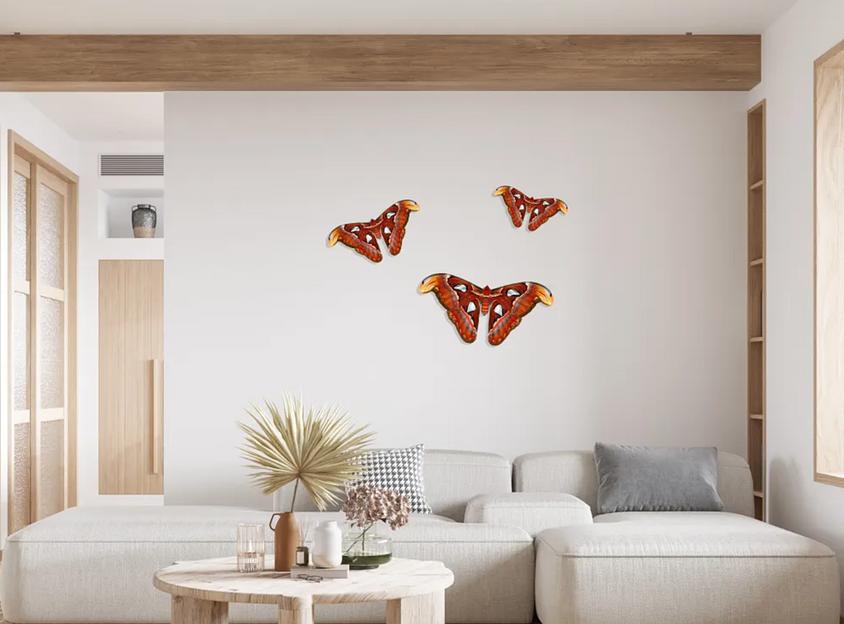 Деревянные пазлы «Павлиногазка атлас» M 40×20 см 194 детали фото 2