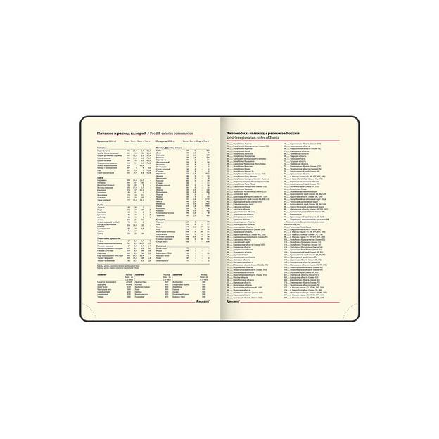 Ежедневник недатированный А5 138×213 мм Brauberg «Iguana» под кожу, 160 л, бордовый, 125092 опт фото 9