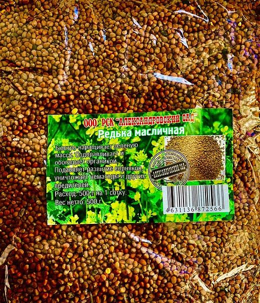 Редька масличная опт фото 1