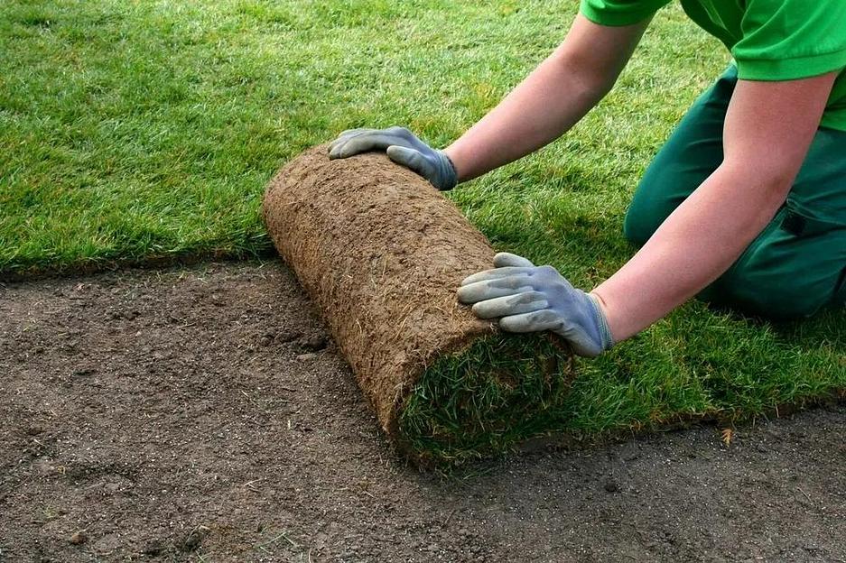 Озеленение и установка автополива от компании «GreenJusan» в г. Алматы фото 5